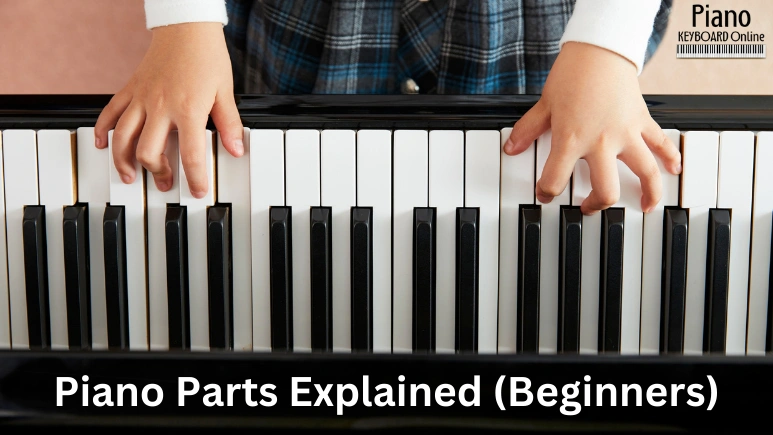 Piano Parts Explained (Beginners)